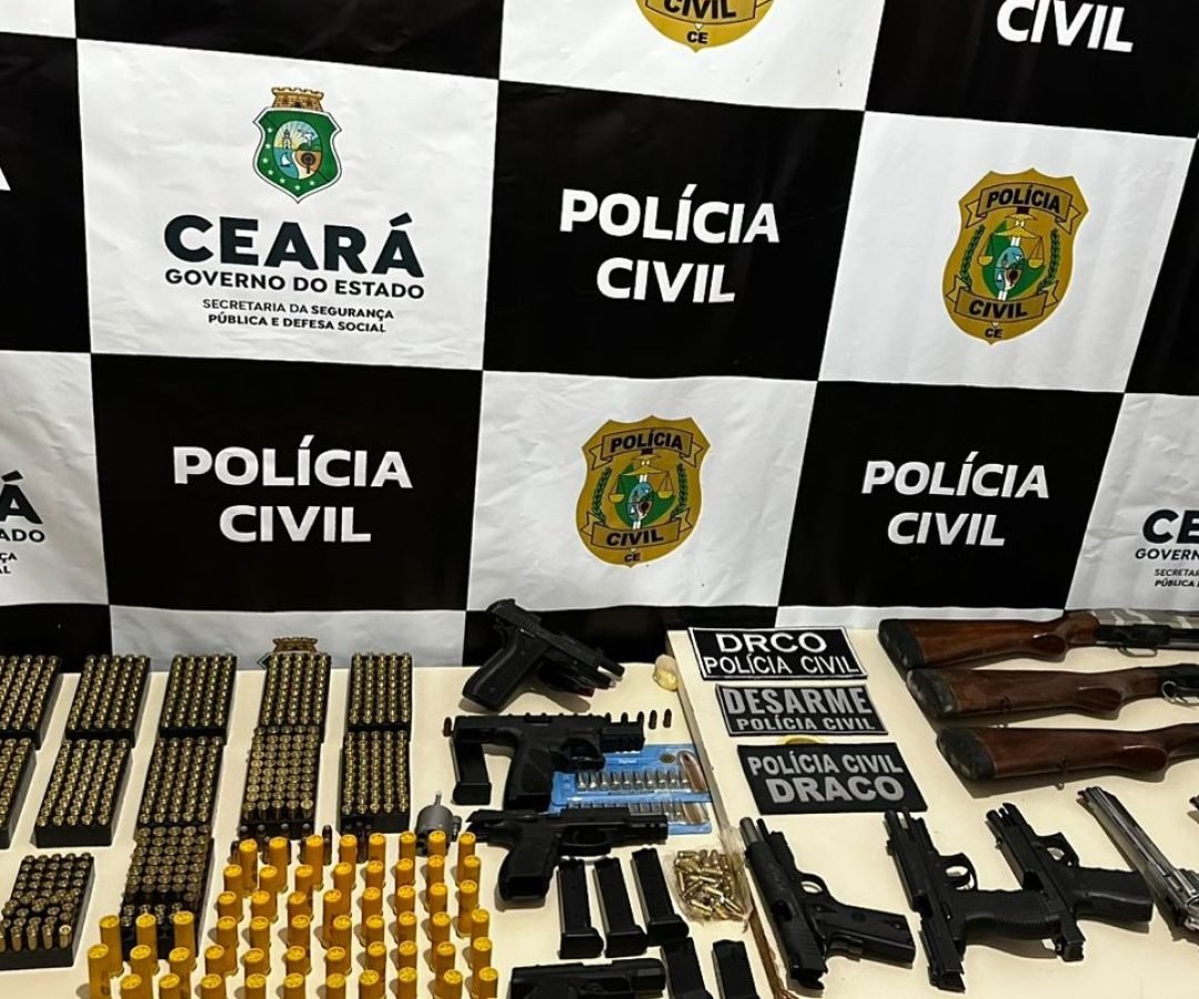 policiacivilalessandraxavier