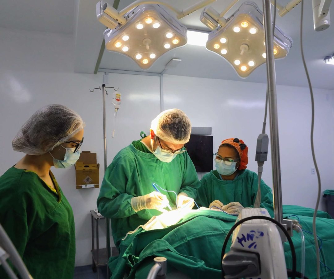 A iniciativa acontece em parceria com o Governo Federal por meio do Programa Agora Tem Especialistas