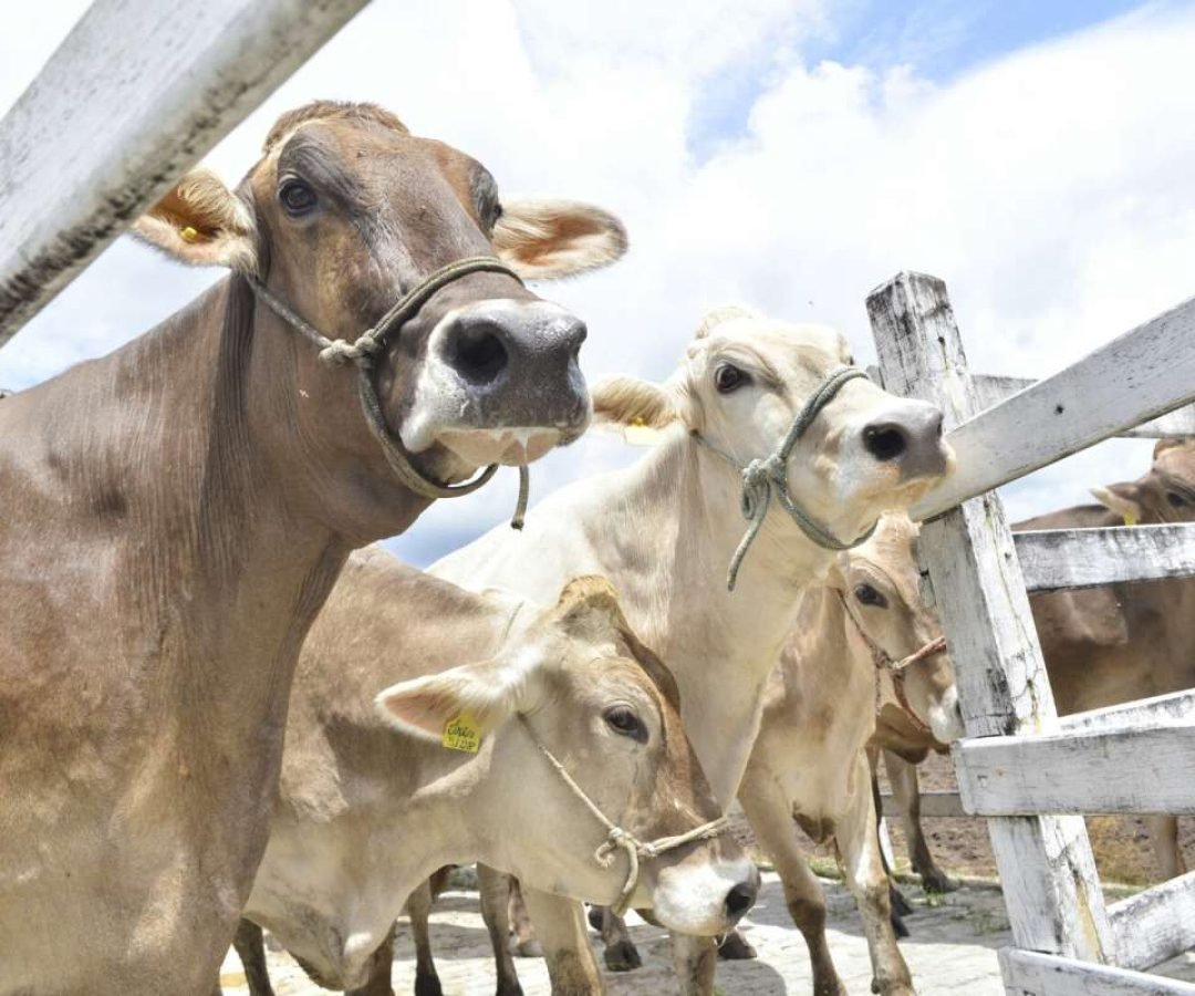 WhatsApp-Image-2025-03-13-at-10.47.38