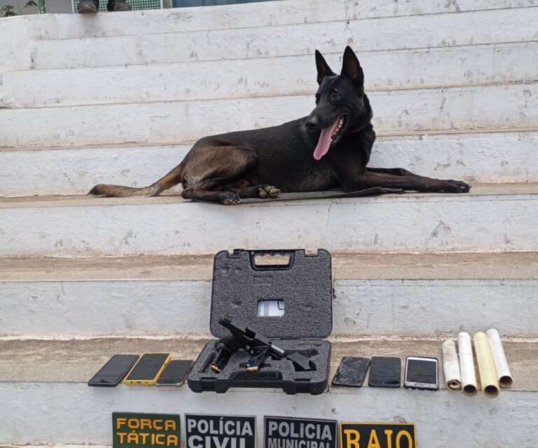 casacivilcleidecastro