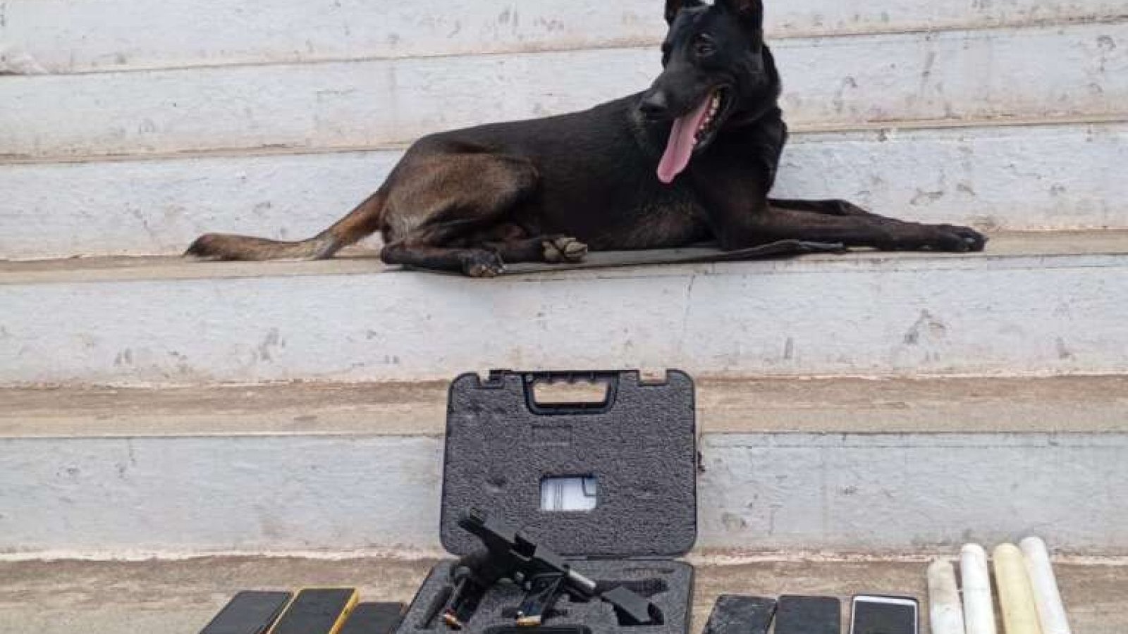 casacivilcleidecastro