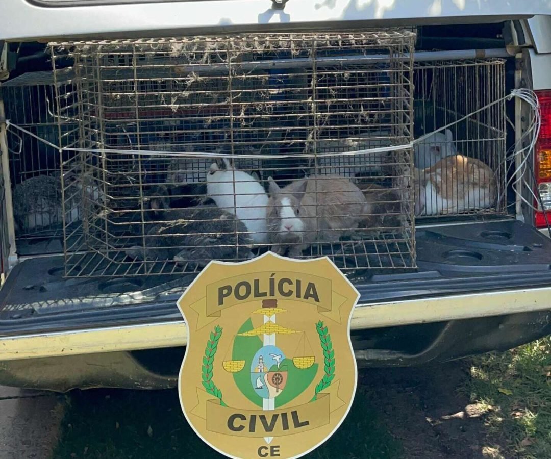 policiacivilantoniosales