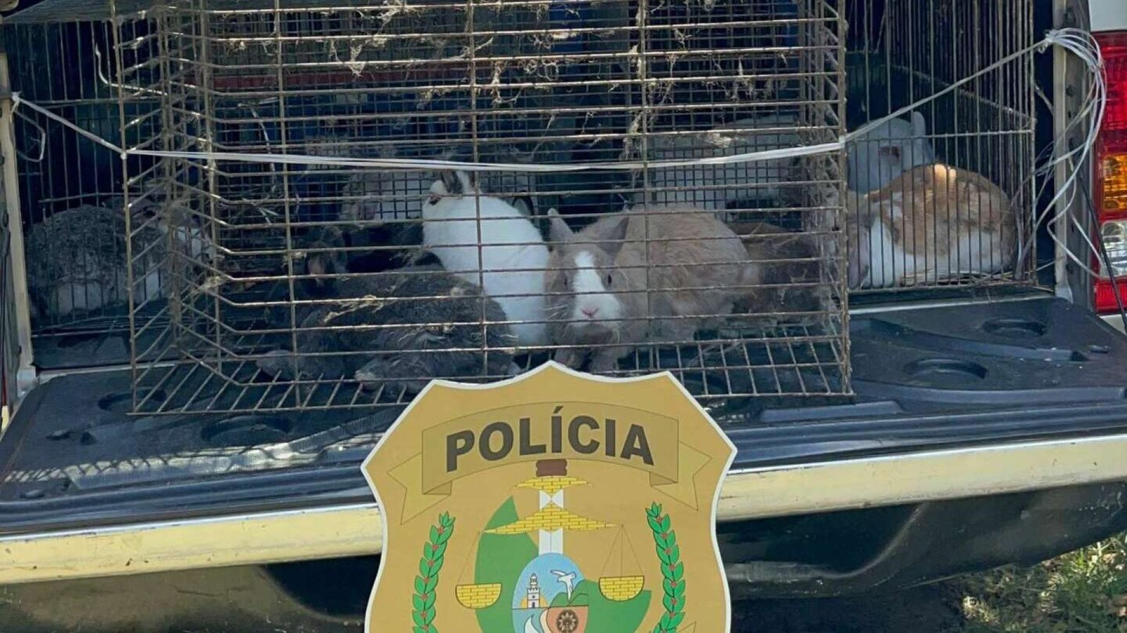 policiacivilantoniosales