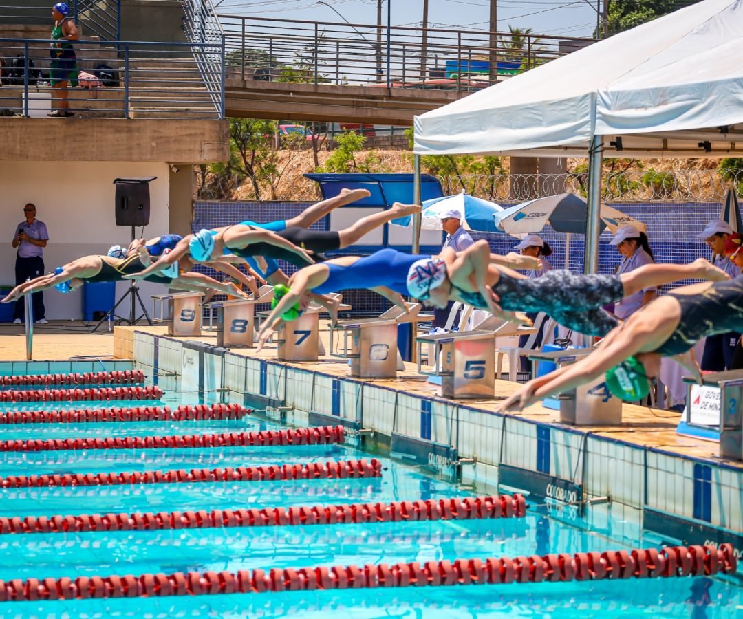 igualdaderacialelieziocosta