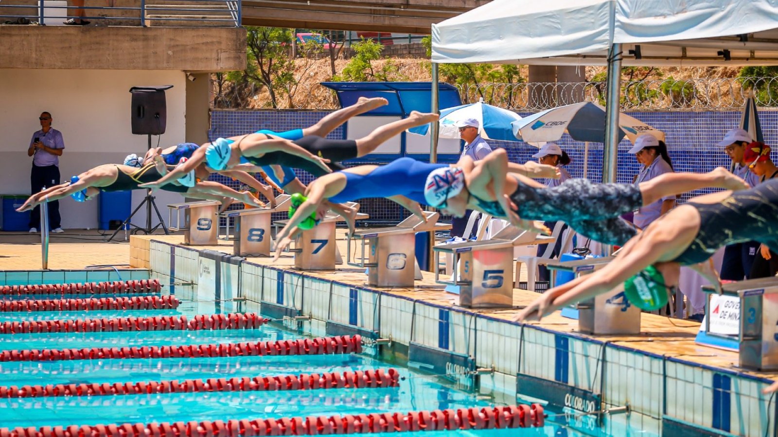 igualdaderacialelieziocosta