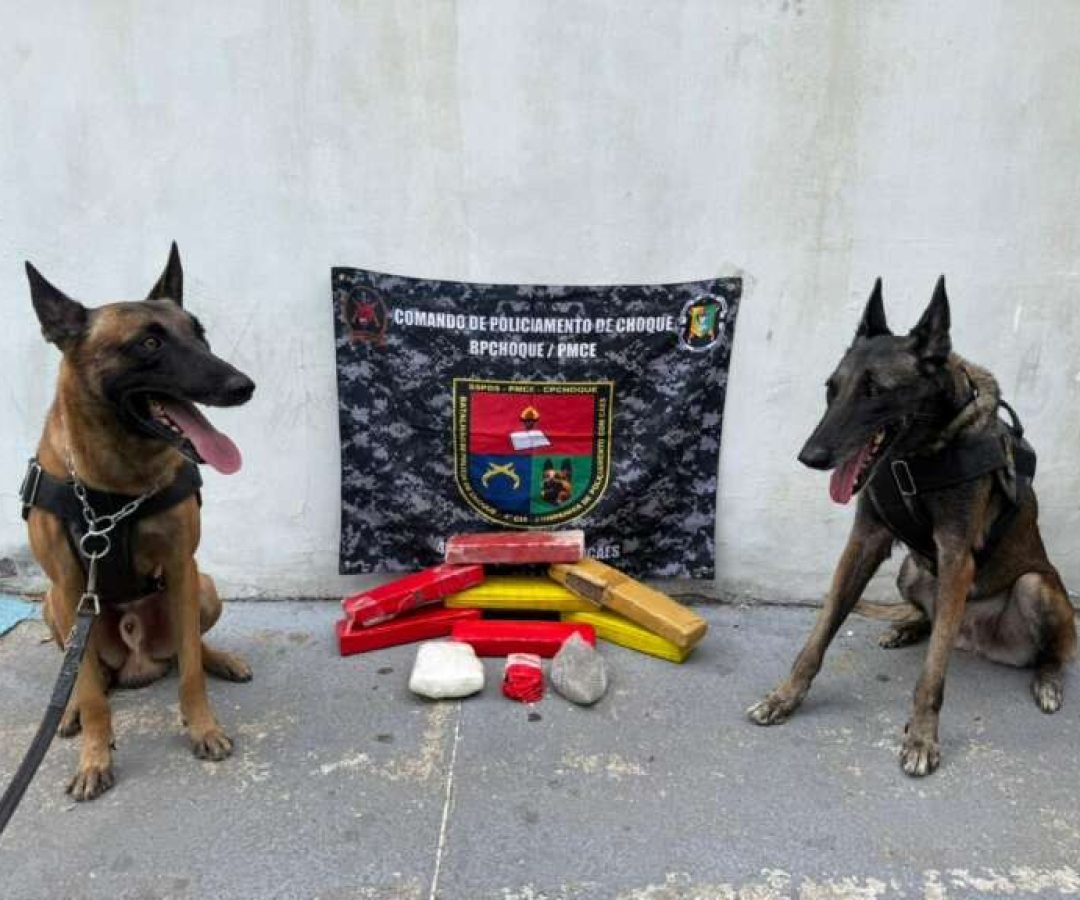 casacivilcleidecastro