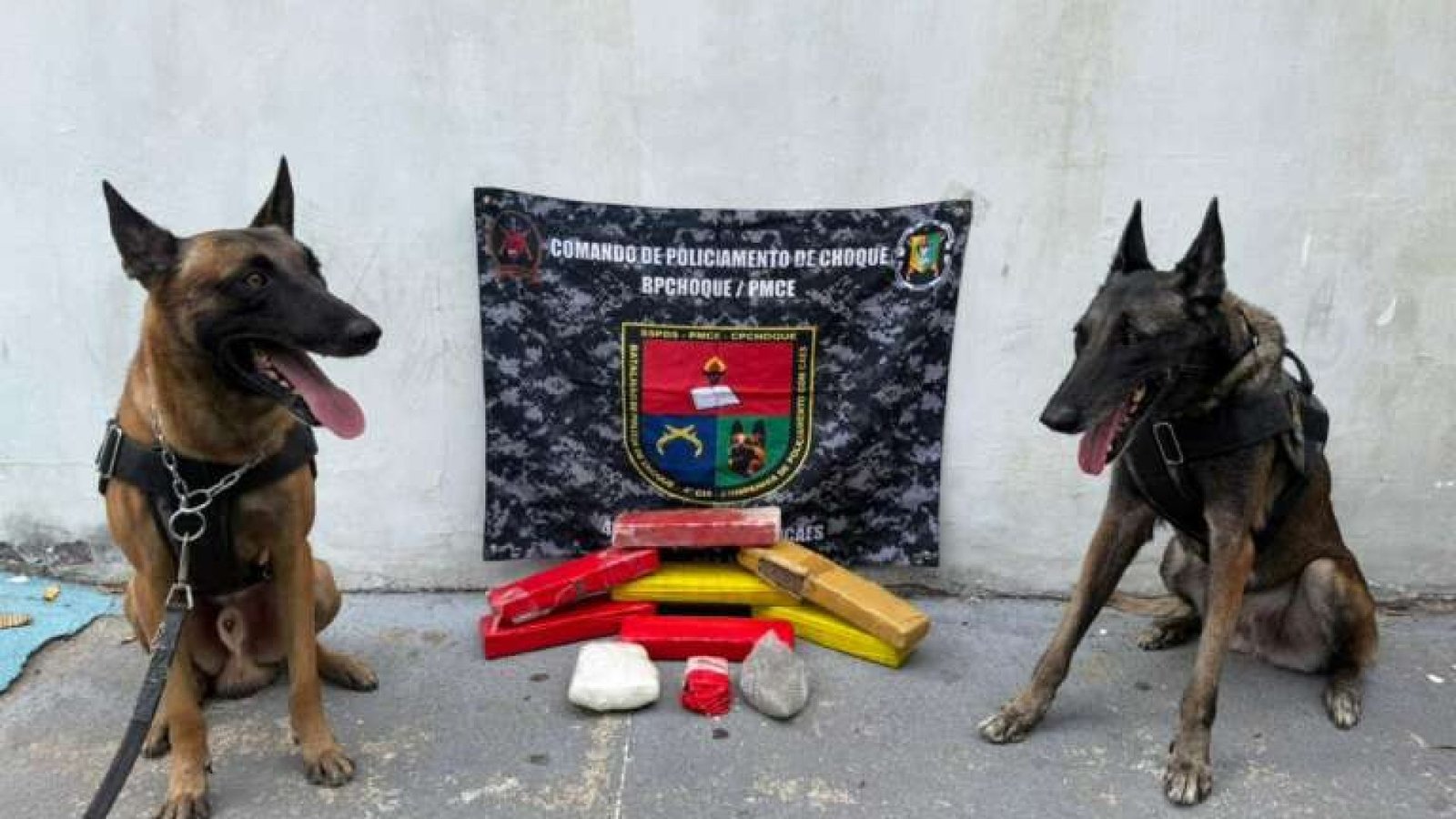 casacivilcleidecastro