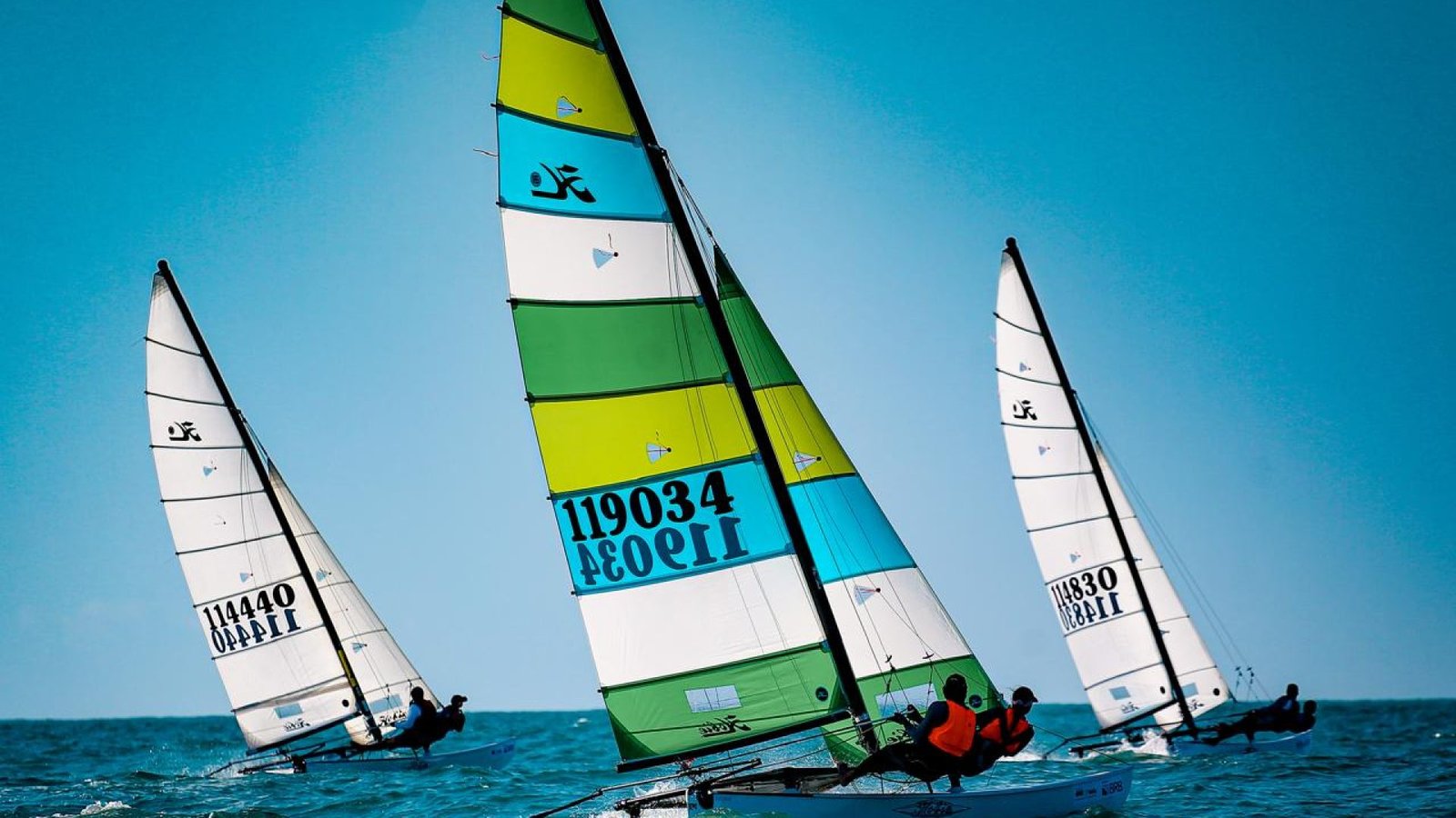 WhatsApp-Image-2026-01-12-at-14.04.53