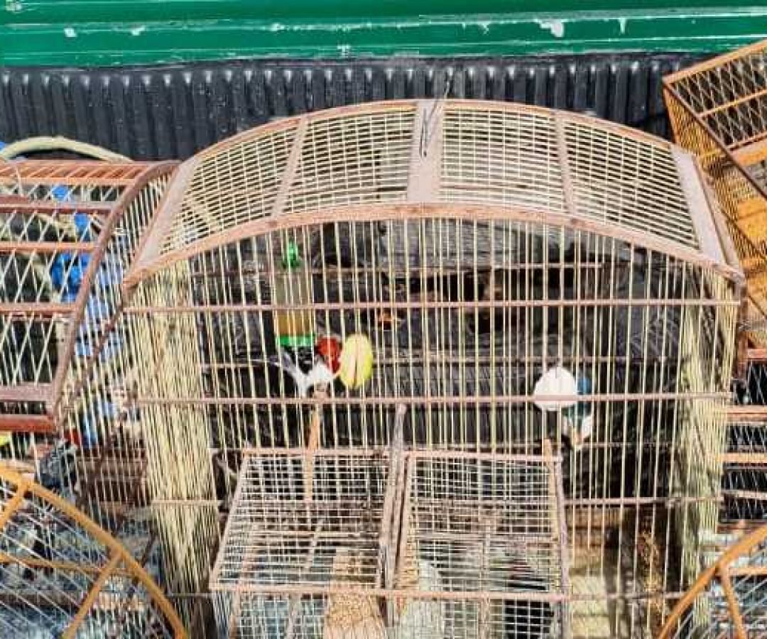 WhatsApp-Image-2026-01-14-at-11.51.27-1