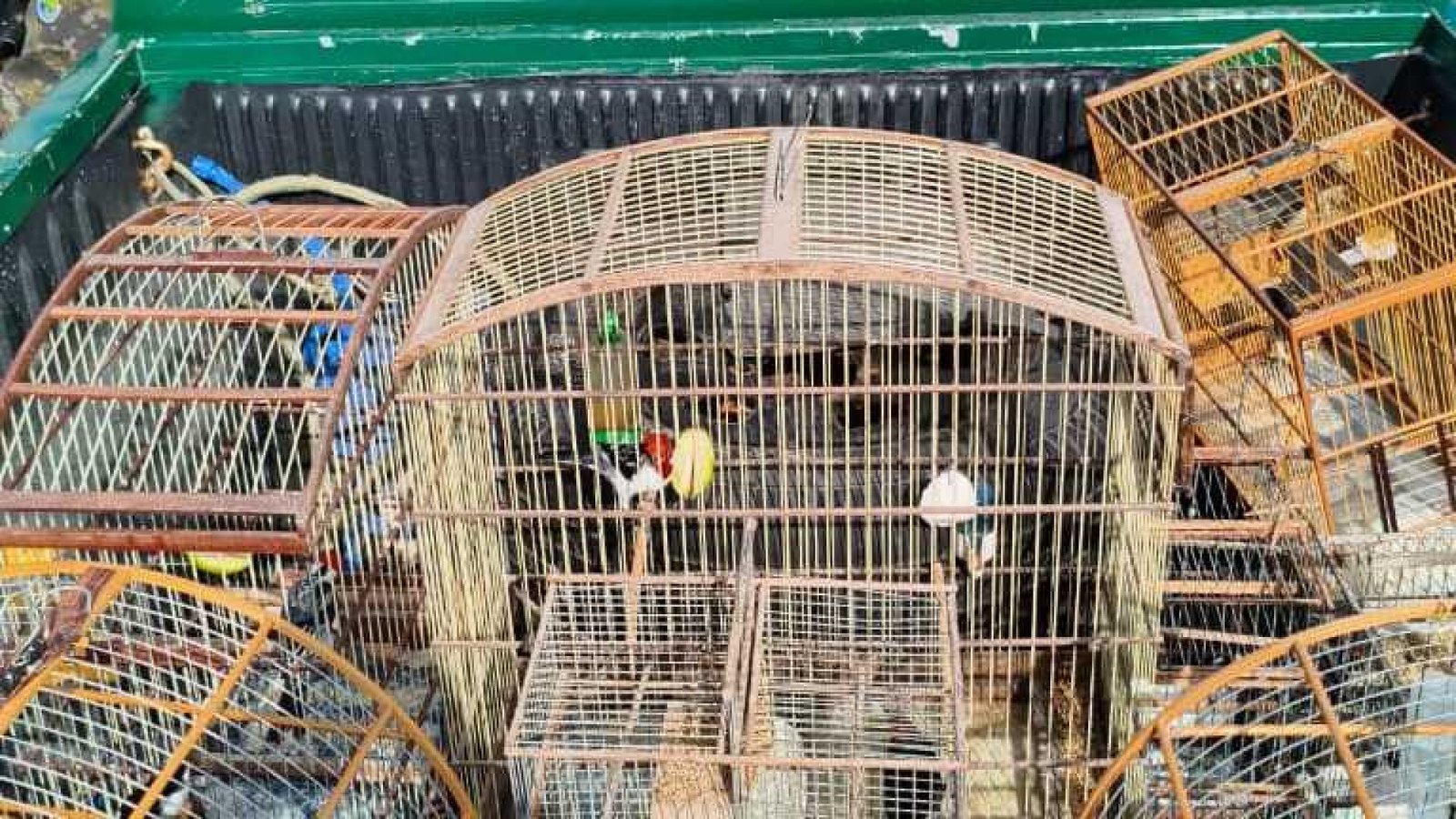 WhatsApp-Image-2026-01-14-at-11.51.27-1