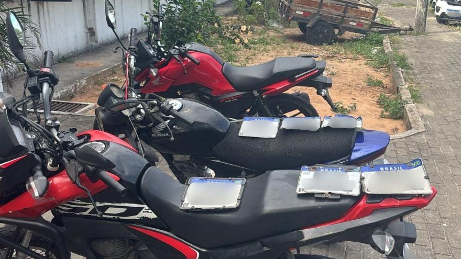 WhatsApp-Image-2026-01-21-at-10.48.1-IM