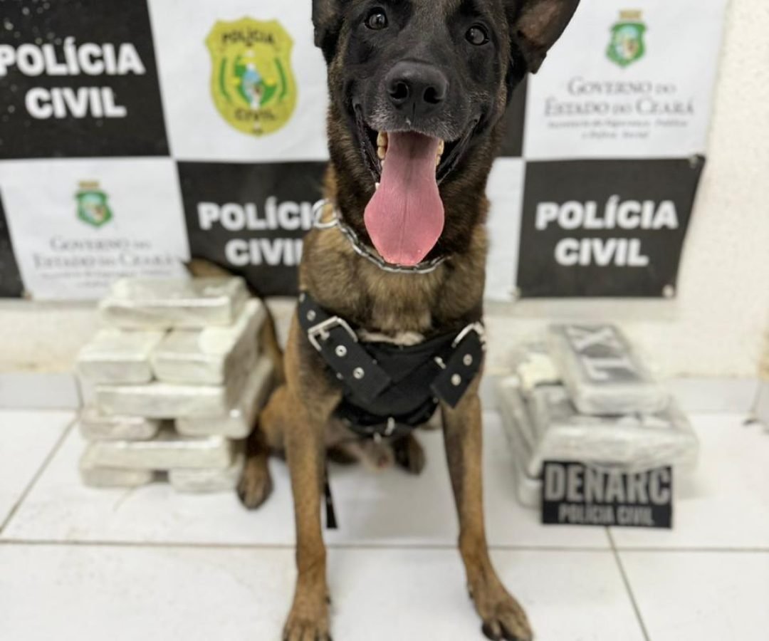 WhatsApp-Image-2026-01-24-at-16.51.48