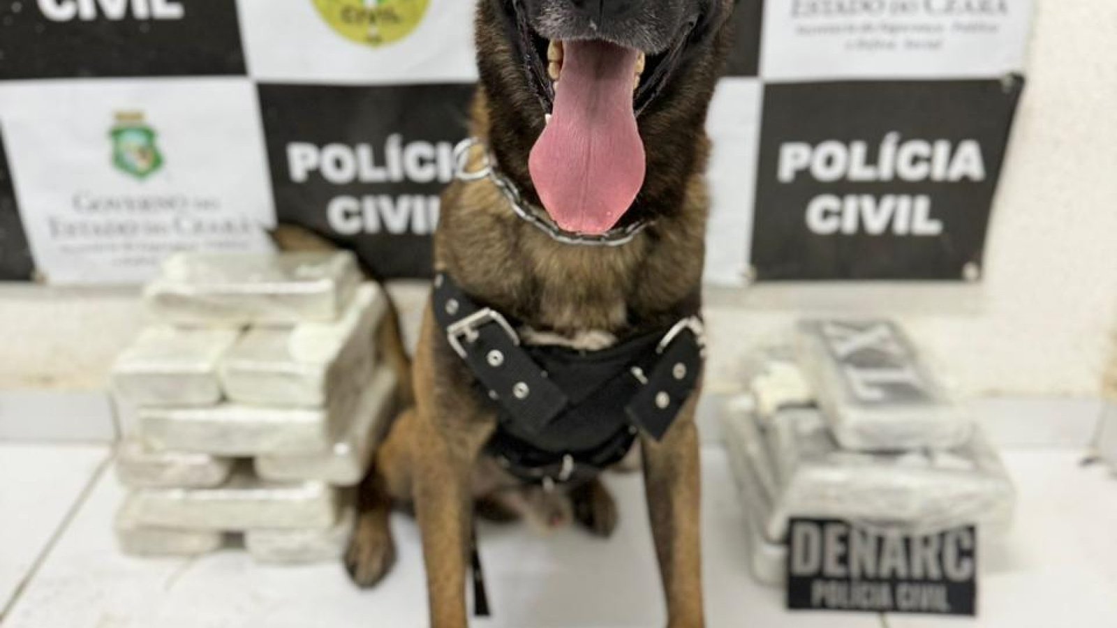 WhatsApp-Image-2026-01-24-at-16.51.48