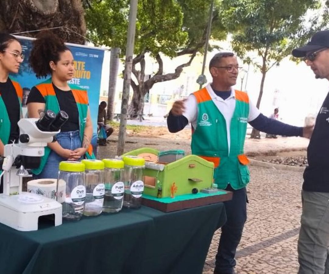 igualdaderacialelieziocosta