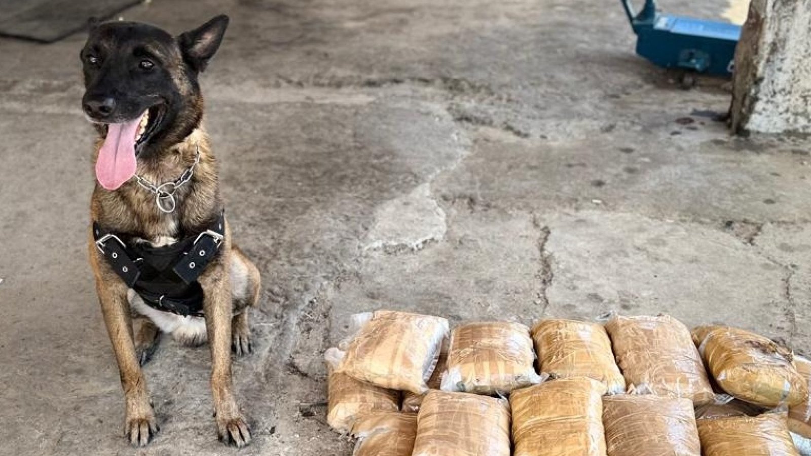 c31ac302-2fa5-4203-a07d-d8d2fa708e3c-IM