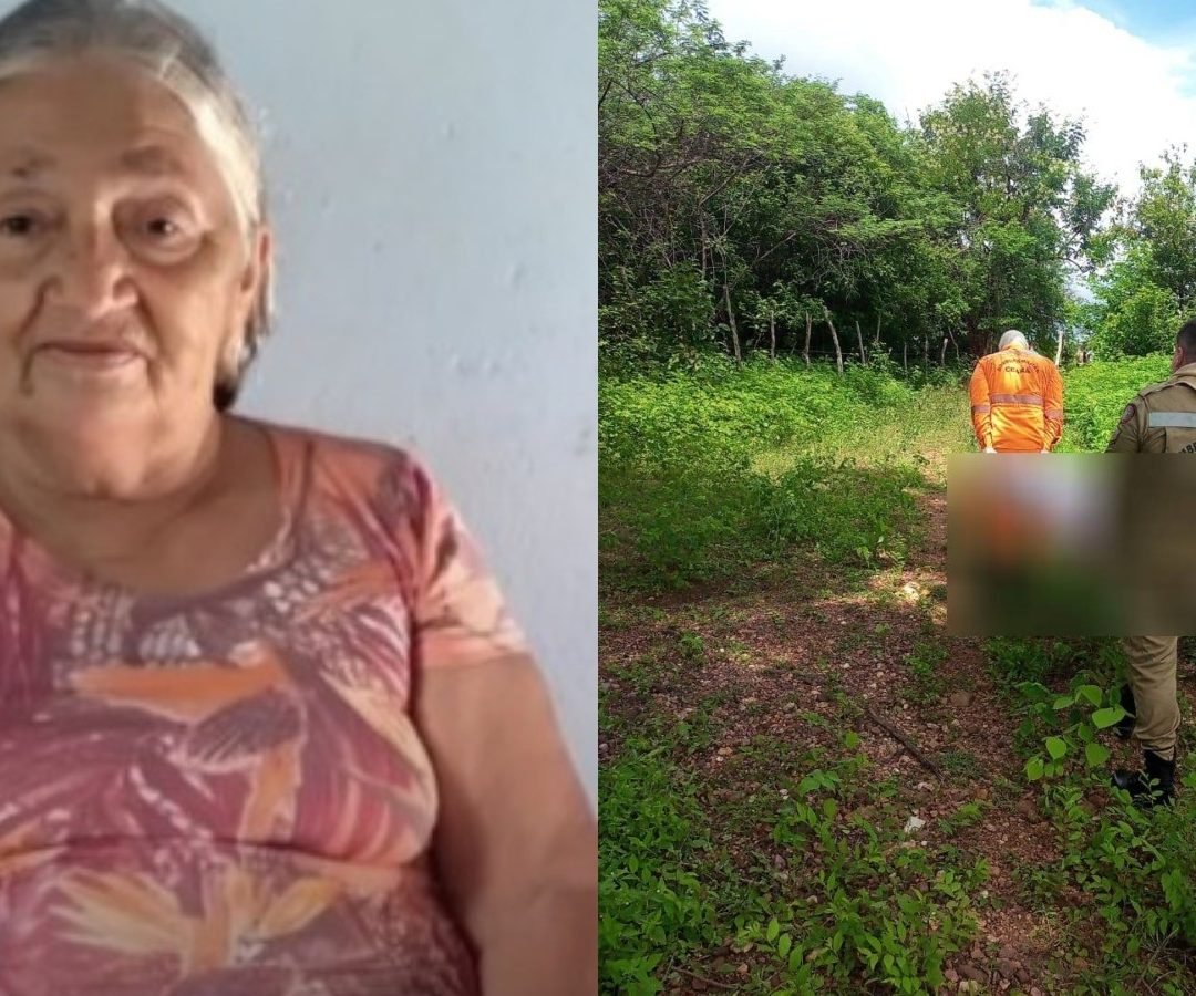 enxame de abelhas no interior do Ceará Uma idosa de 75 anos morreu após ser atac