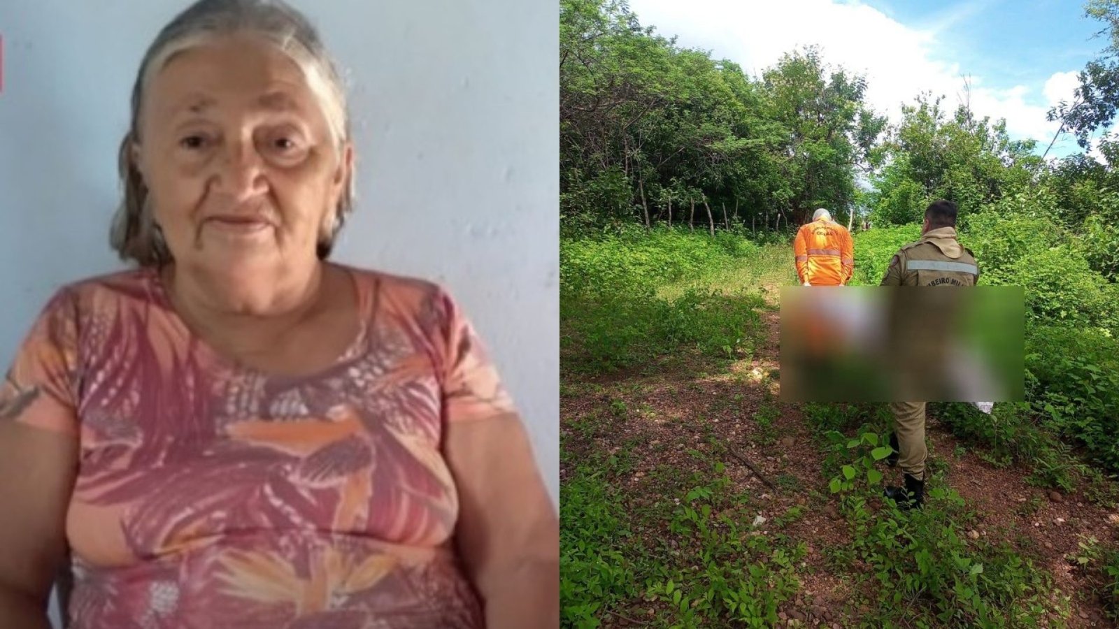 enxame de abelhas no interior do Ceará Uma idosa de 75 anos morreu após ser atac