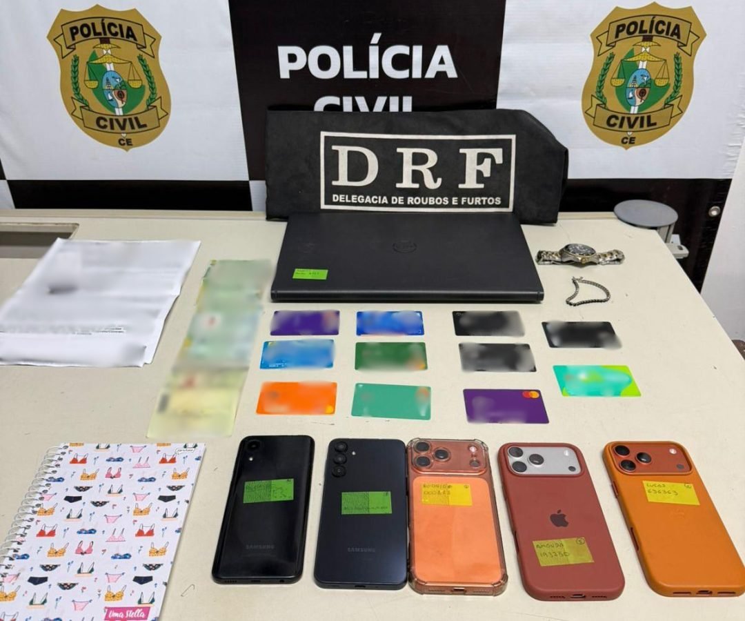meio da Delegacia de Roubos e Furtos (DRF), resultou na prisão em flagrante de d