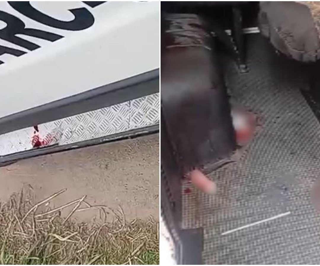 tou a jovem até o Hospital Municipal de Jardim. O estado de saúde dela não foi i