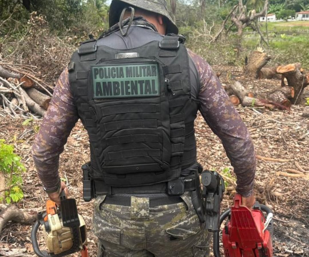 Supressão vegetal irregular: polícia ambiental apreende motosserras em Itarema