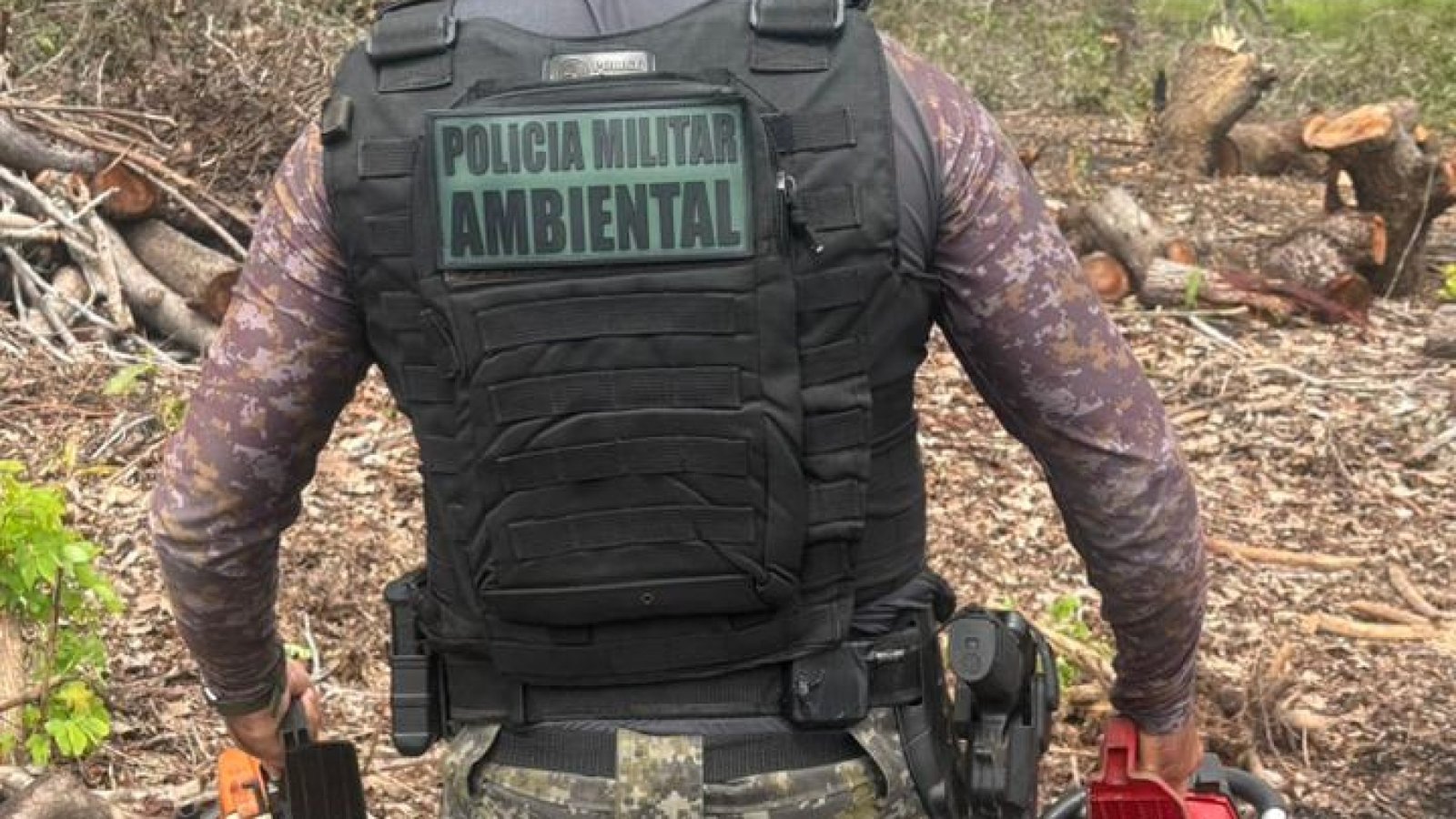 Supressão vegetal irregular: polícia ambiental apreende motosserras em Itarema