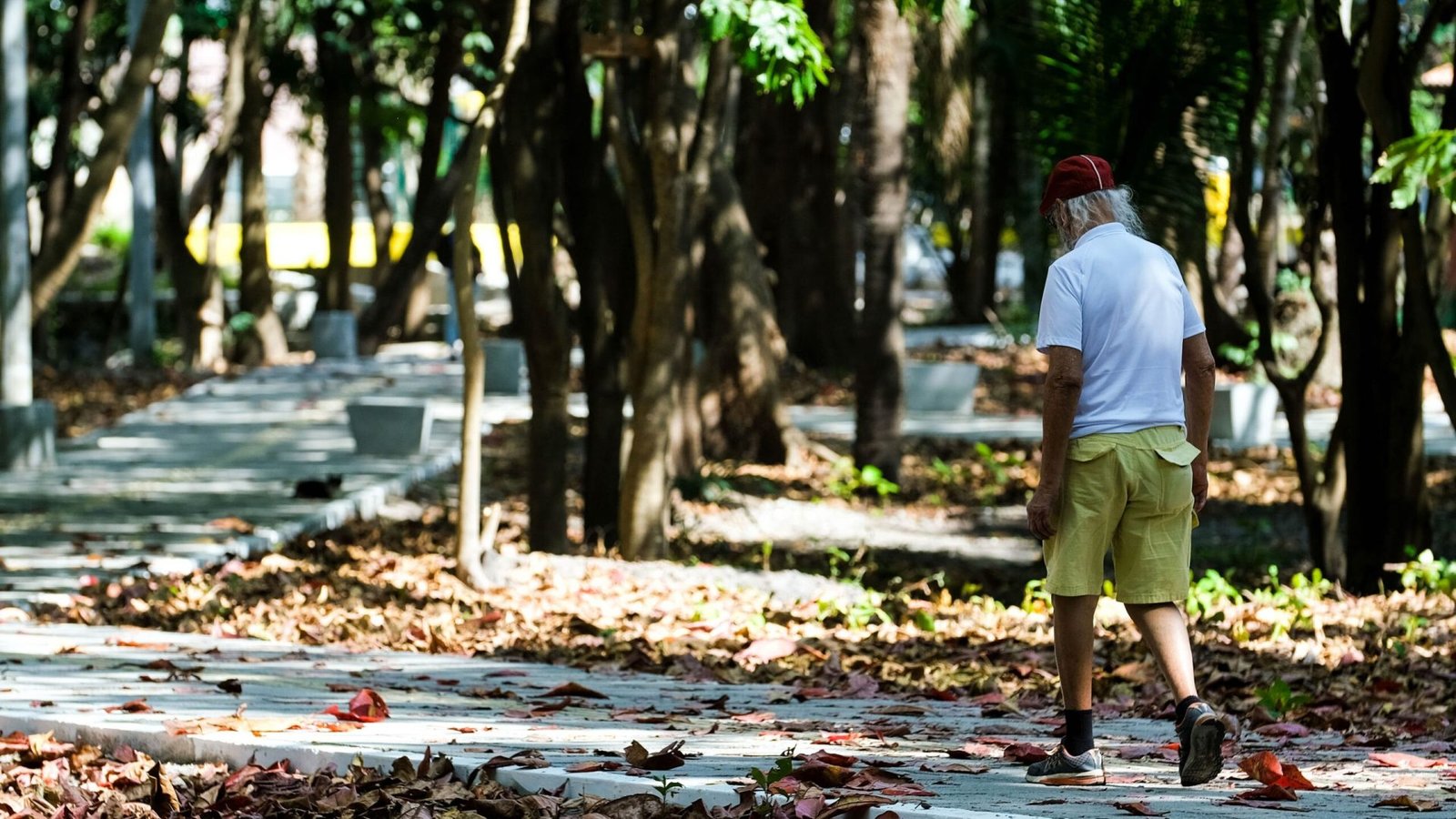 tunidades: respeito a direitos individuais, acesso à cultura, esporte e lazer, a