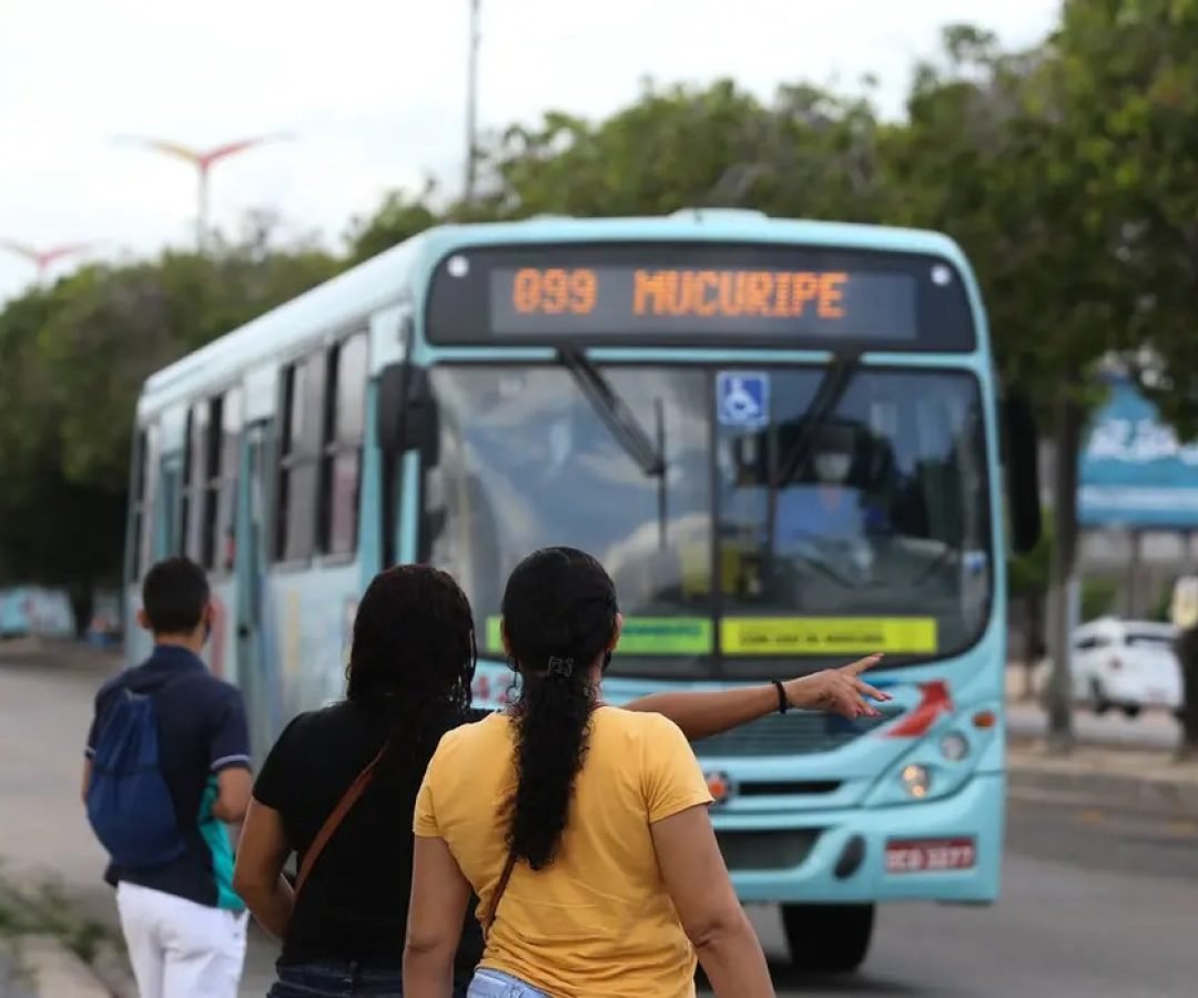 meio da Central 156 ou pela plataforma SPU Digital. Para abrir a solicitação, o