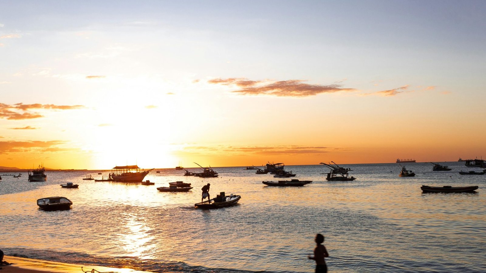 Foto: veronica medeiros / Pexels