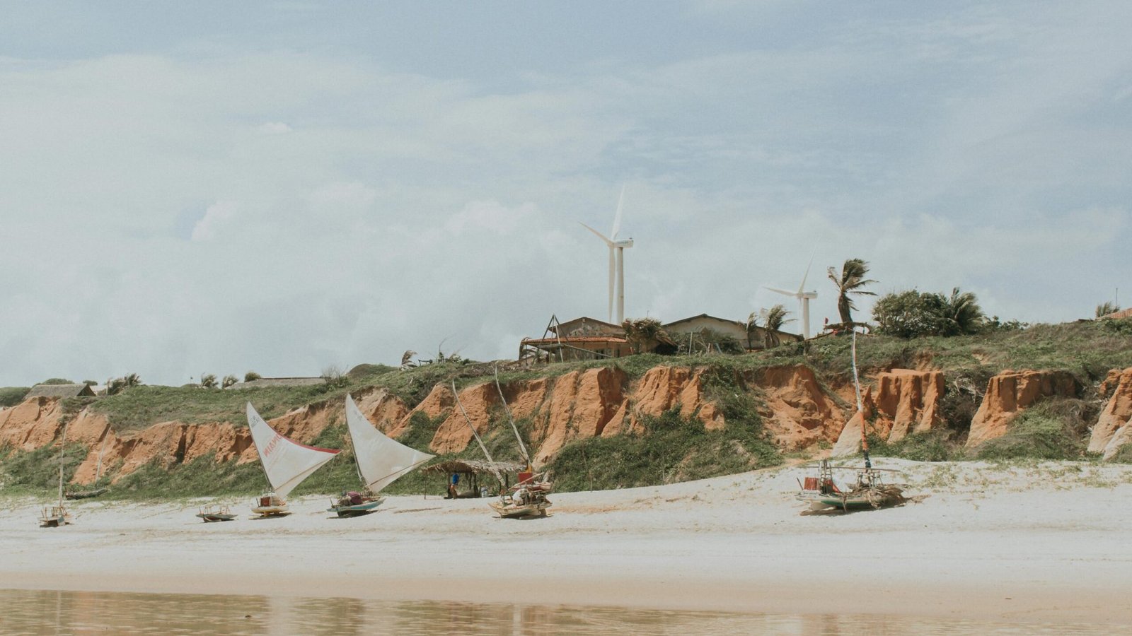 Foto: Kássia Melo / Pexels