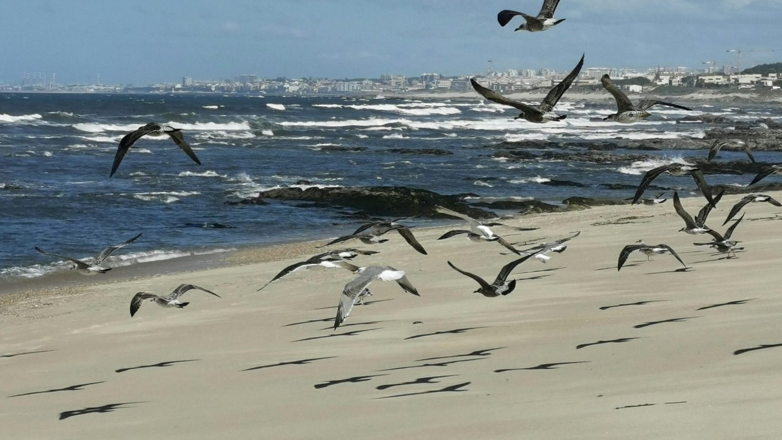Foto: Volker Hessihecko / Pexels