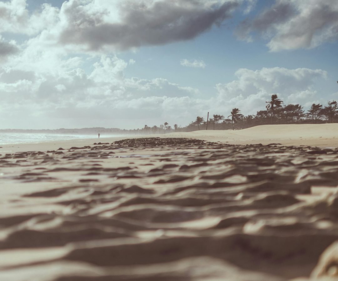 Foto: MESSALA CIULLA / Pexels