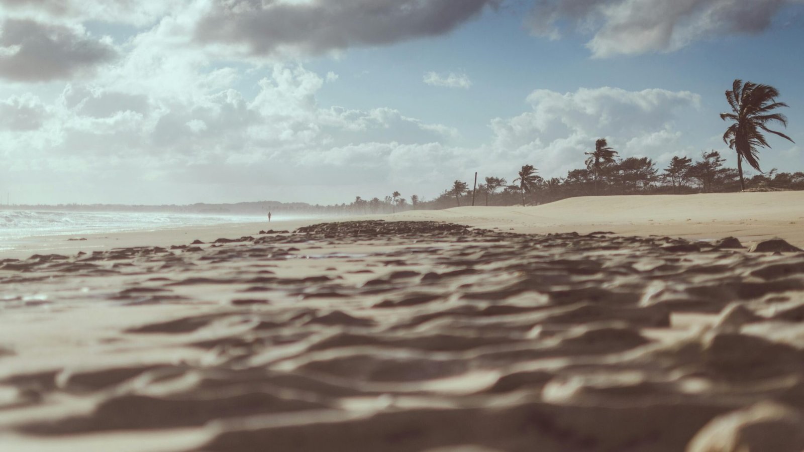 Foto: MESSALA CIULLA / Pexels