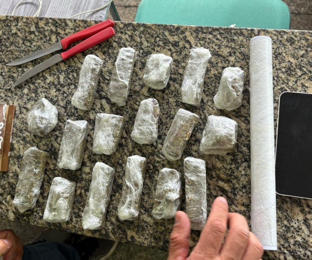 meio da 1ª Delegacia de Tianguá, cumpriu um mandado de prisão preventiva em desf