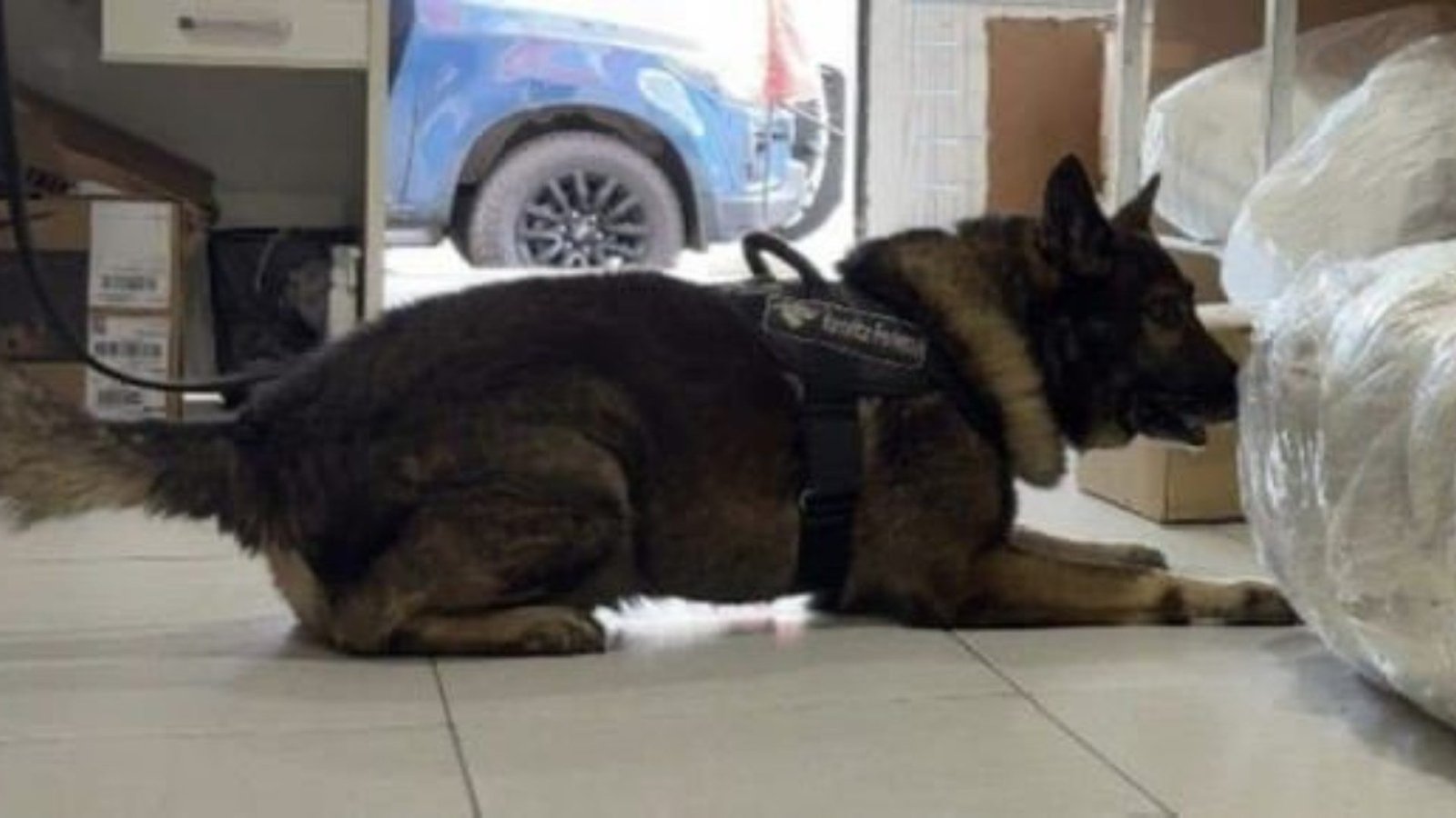 tadora de Fortaleza, nesta quinta-feira (28). Um homem foi preso em flagrante na