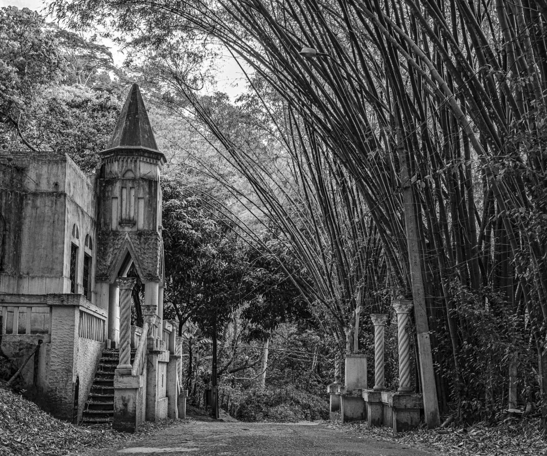 Foto: Anderson Sindeaux / Pexels