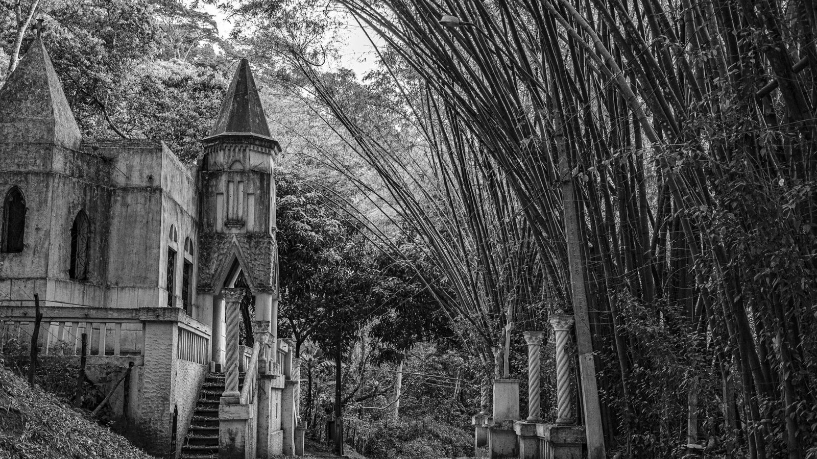 Foto: Anderson Sindeaux / Pexels
