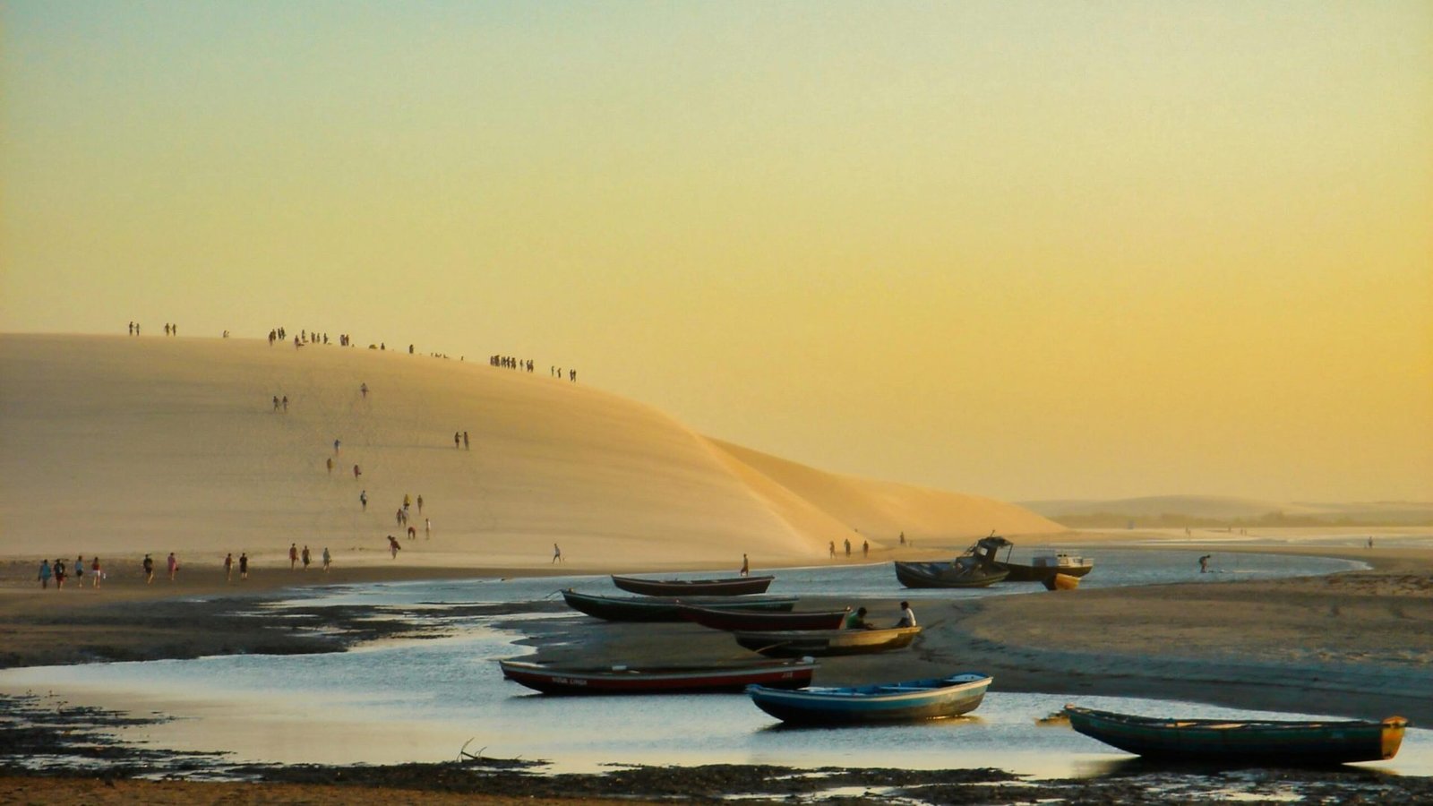 Foto: Roberto Garrido / Pexels