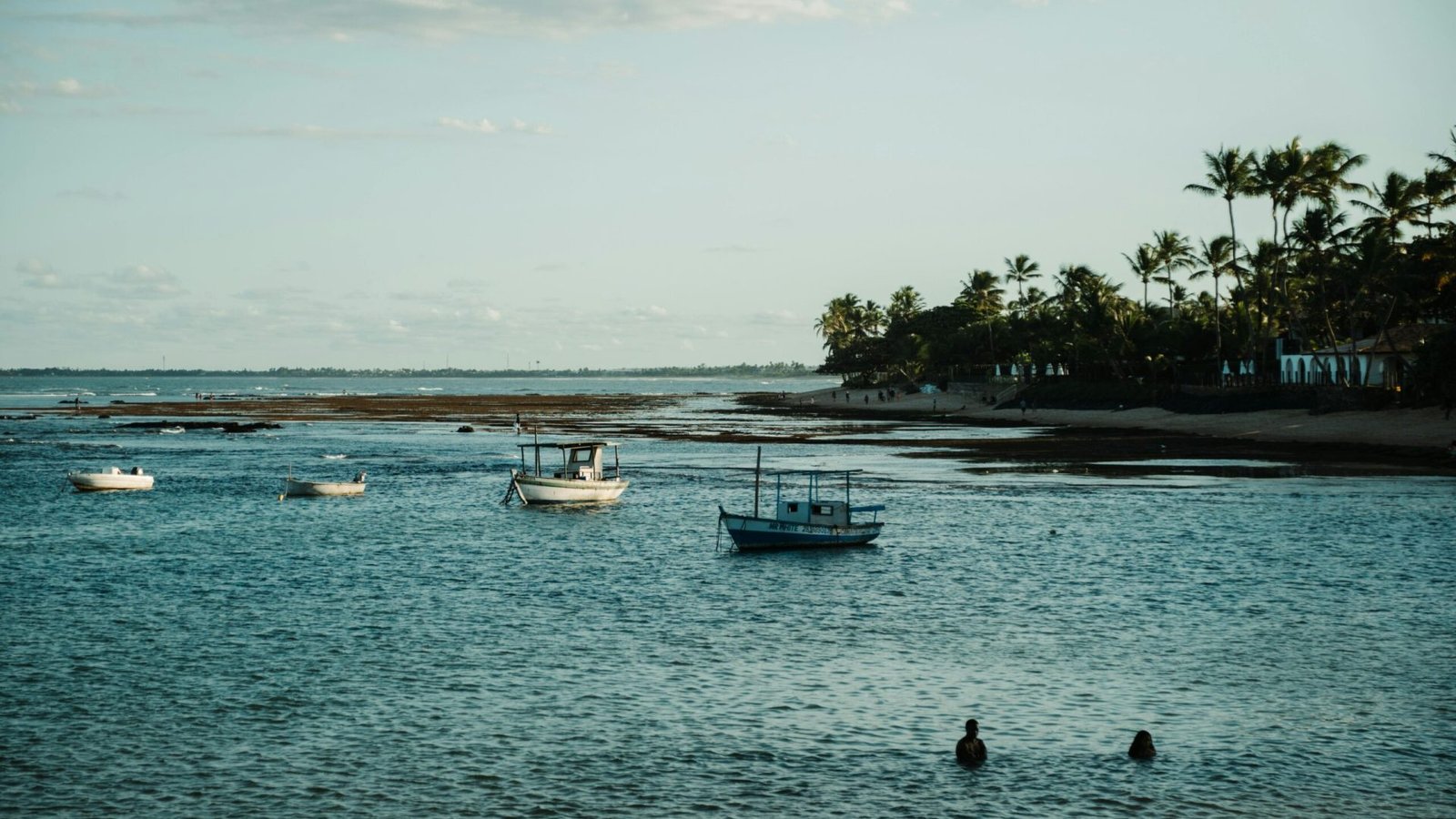 Foto: Gustavo Serrate / Pexels