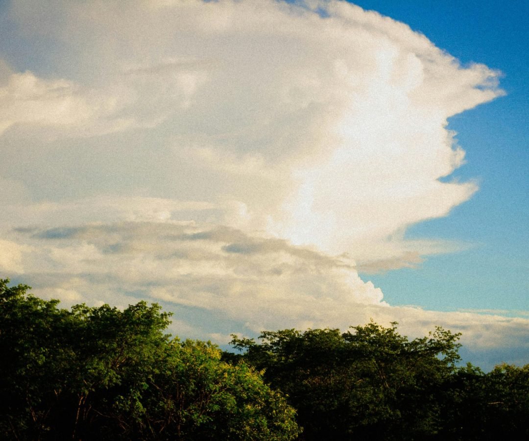 Foto: Yara Alana / Pexels
