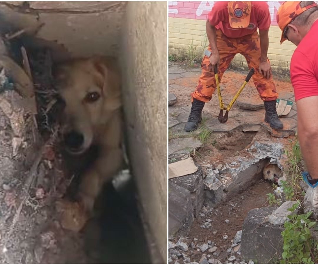 conta própria devido ao espaço reduzido. Durante o resgate, os agentes quebraram