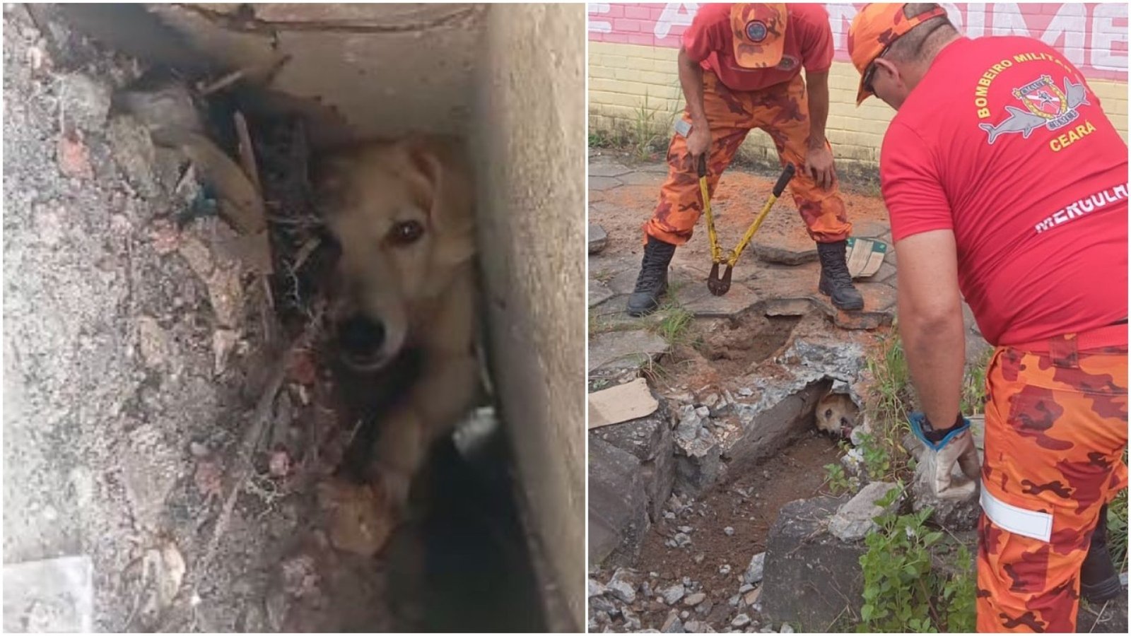 conta própria devido ao espaço reduzido. Durante o resgate, os agentes quebraram