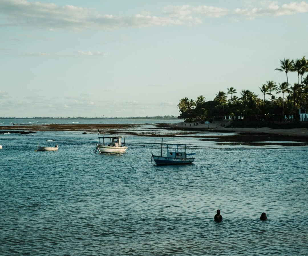 Foto: Gustavo Serrate / Pexels