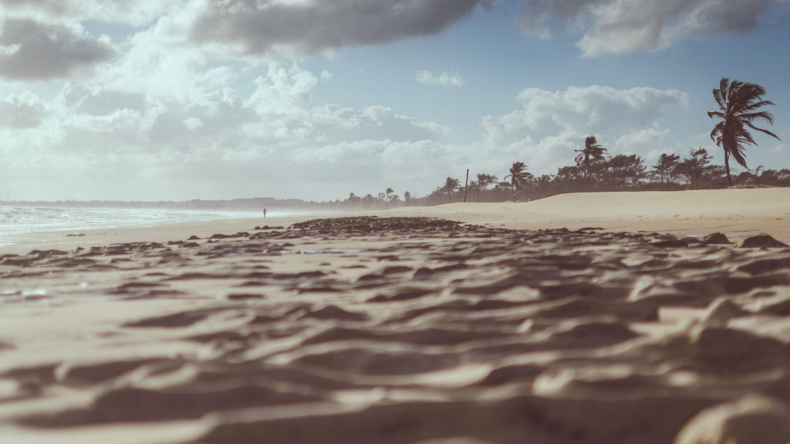Foto: MESSALA CIULLA / Pexels