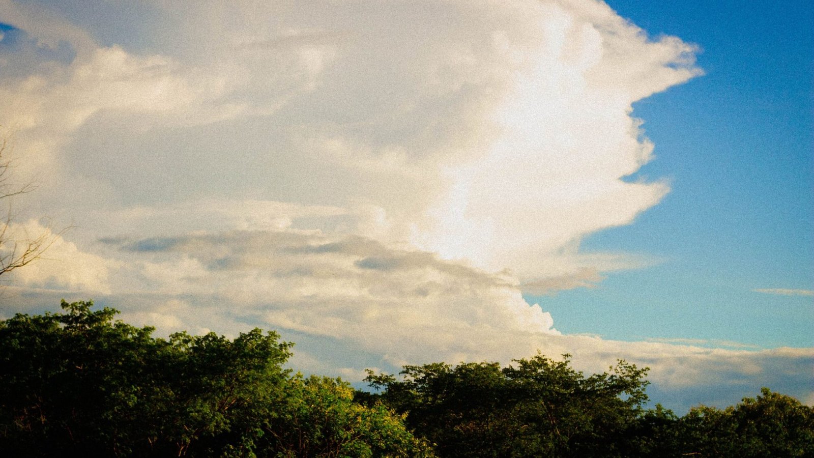 Foto: Yara Alana / Pexels