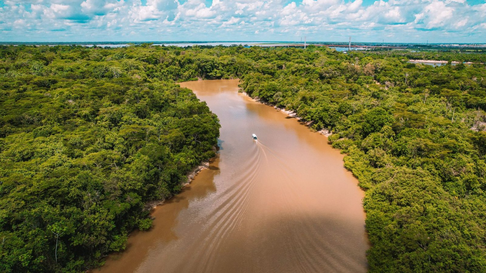 Foto: Nando Freitas / Pexels