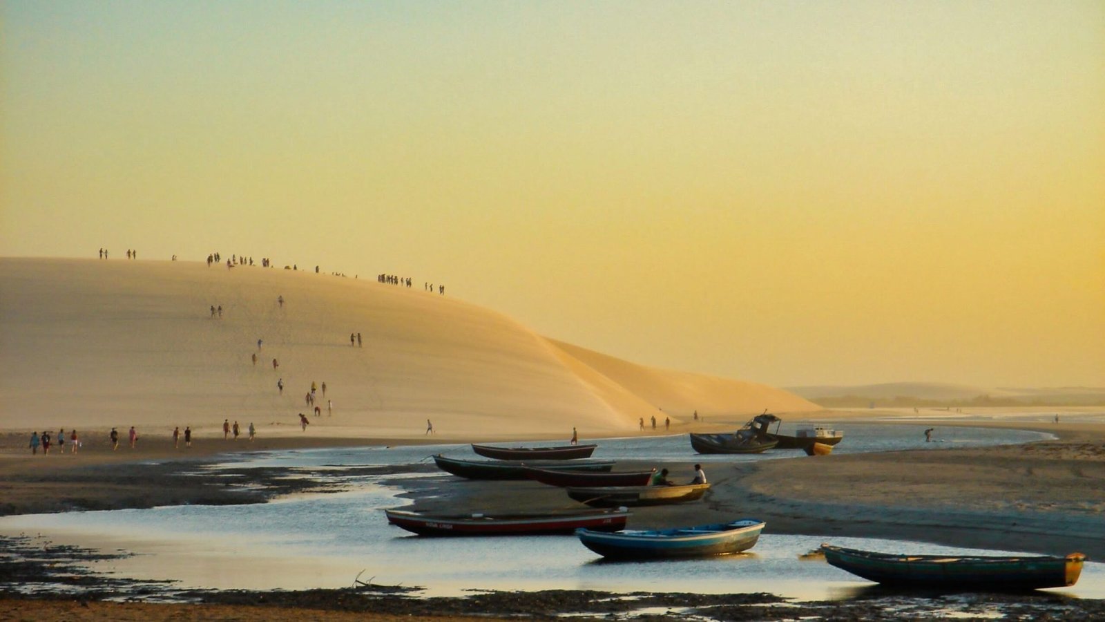 Foto: Roberto Garrido / Pexels