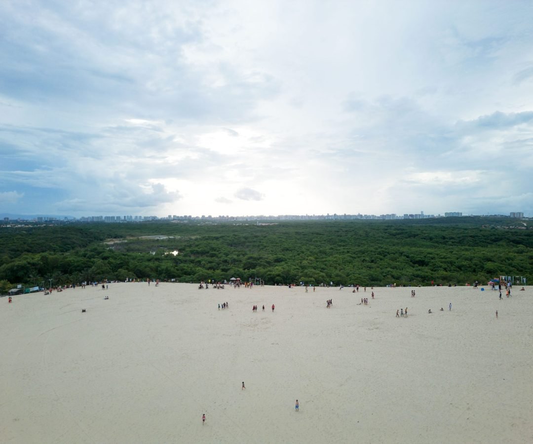 Foto: Nino Souza / Pexels