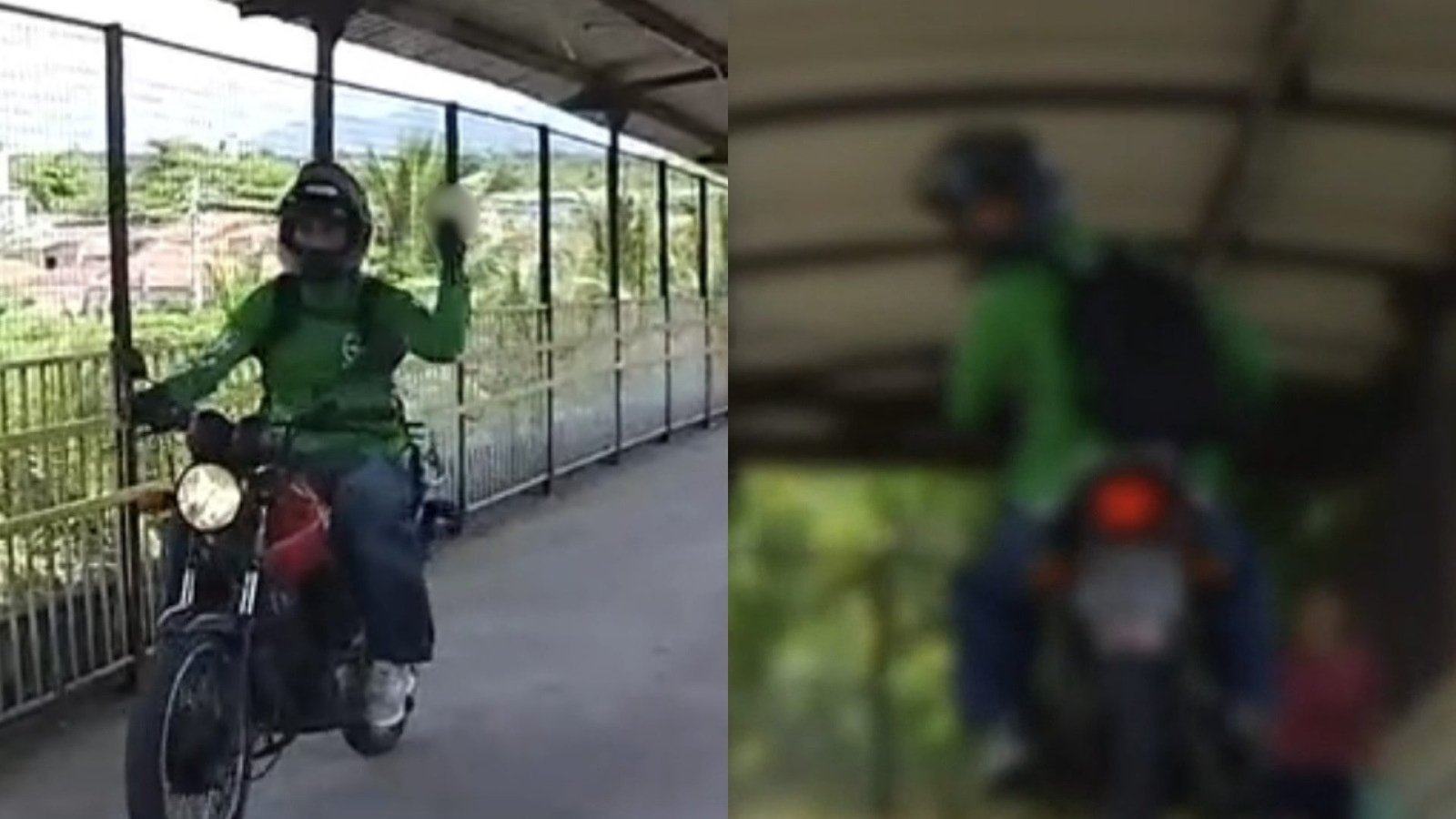 Reprodução/TV Verdes