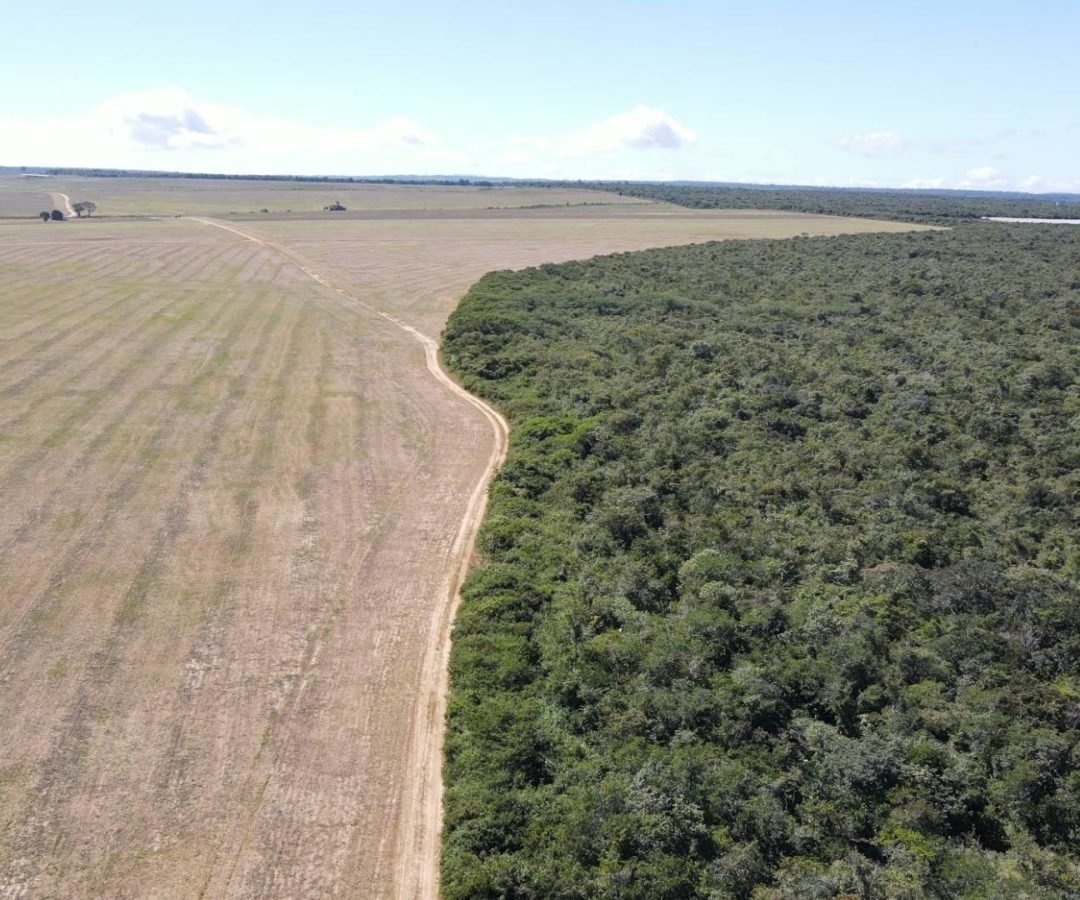 legislação específica. No Ceará, onde predomina o bioma da caatinga, a região da