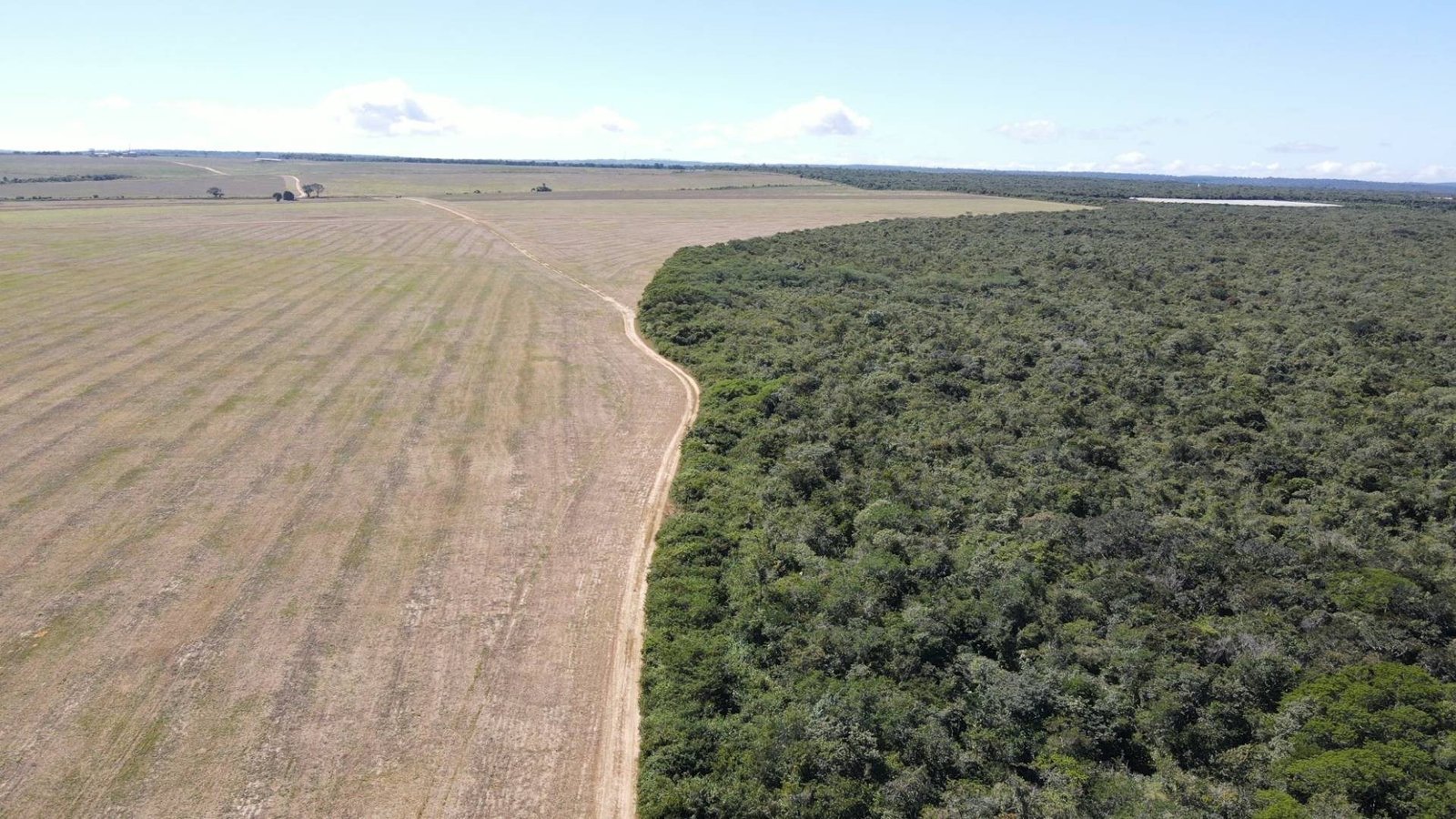 legislação específica. No Ceará, onde predomina o bioma da caatinga, a região da